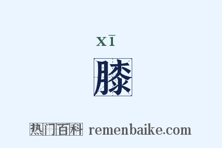 膝是什么意思的图片